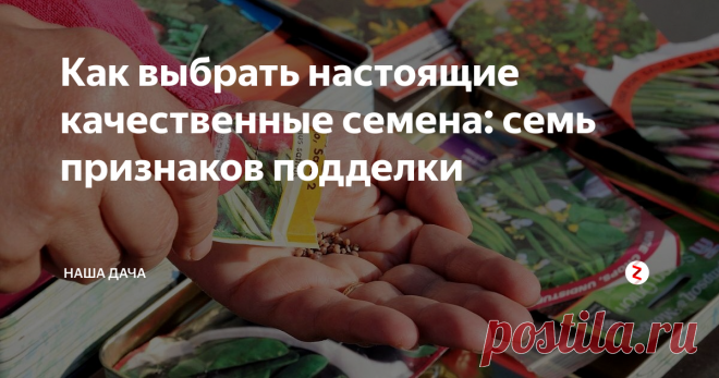 Как выбрать настоящие качественные семена: семь признаков подделки По данным Россельхознадзора тридцать процентов (вдумайтесь только в эту цифру – каждый третий пакетик, получается!) семян, которые покупают дачники – некачественный посадочный материал, или вовсе подделка. Чаще всего садоводы и огородники жалуются на пересортицу или, вообще, отсутствие хоть какого-нибудь урожая. Как отличить качественные семена от подделки и на что обратить внимание при покупке?