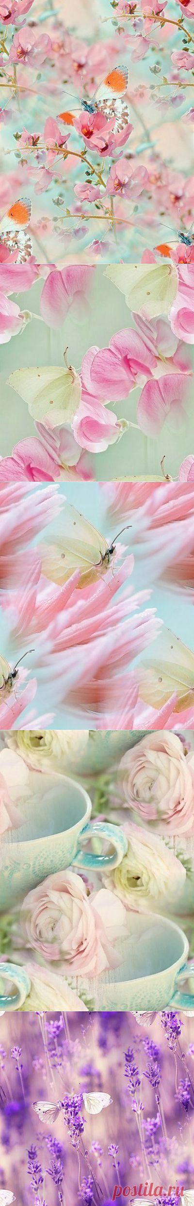 Сиреневые и фиолетовые фоны — Прекрасные фоны для дневников