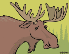 13 анимированных фактов из мира животных от художника Michael Whaite / nibler.ru / Surfingbird.ru