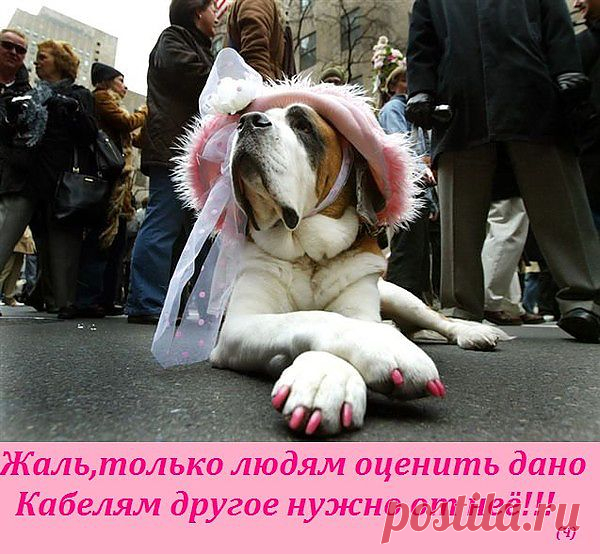 Группа: О сокровенном и прекрасном