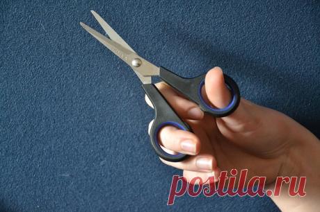 Как заточить ножницы за одну минуту? » Женский Мир