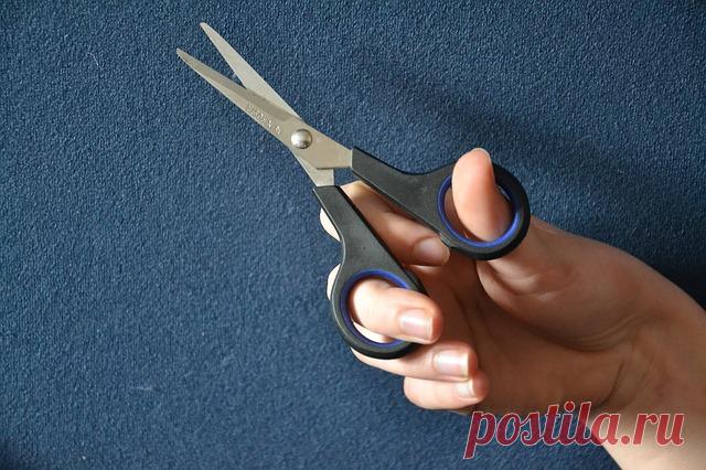 Как заточить ножницы за одну минуту? » Женский Мир