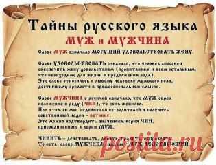 (2) Одноклассники