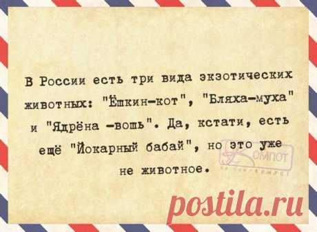 Прикольные фразочки в картинках (07.10.2016)