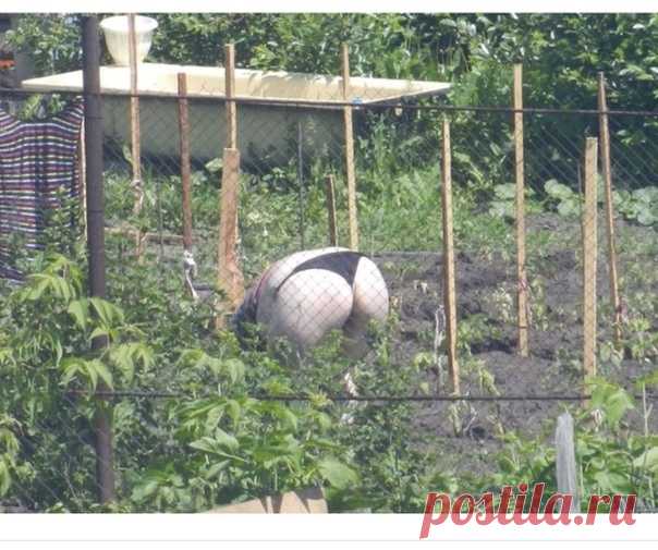 Скоро - на всех огородах и дачах ))😂