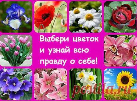 Характер по выбору цветка