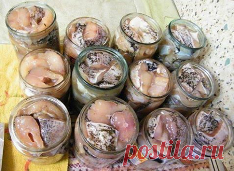 (1) 9 уникальных рецептов консервирования рыбы... - Шеф повар фейсбук