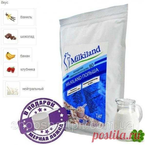 Купить [Оригинал] Протеин Ostrowia Milkiland WPC 80 - 1кг без вкуса в Луцке от компании 