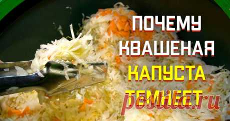 Что делать, чтобы квашеная капуста не темнела | СО ВКУСОМ 🍽 | Дзен