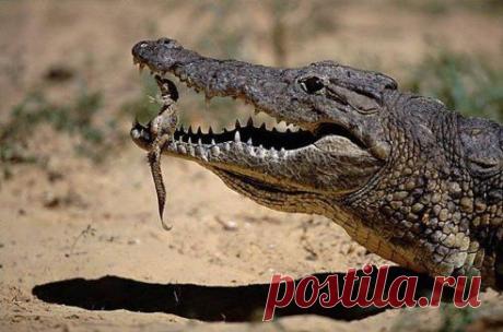 Мамина нежность: слова излишни