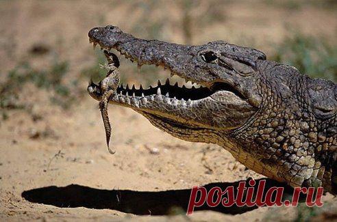 Мамина нежность: слова излишни