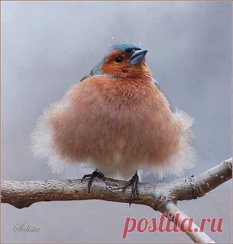 Мой Мир@Mail.Ru