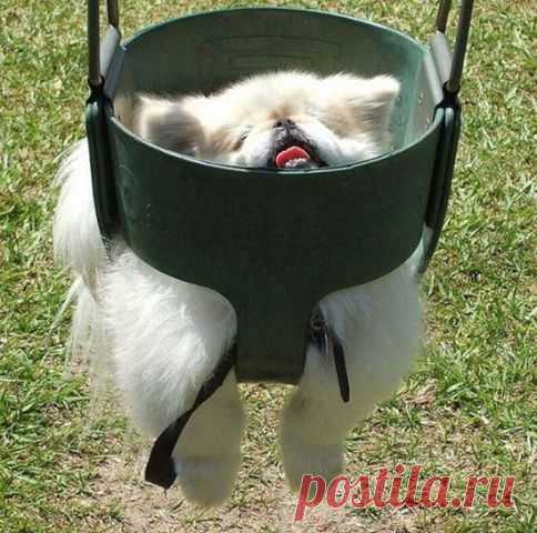 укачало