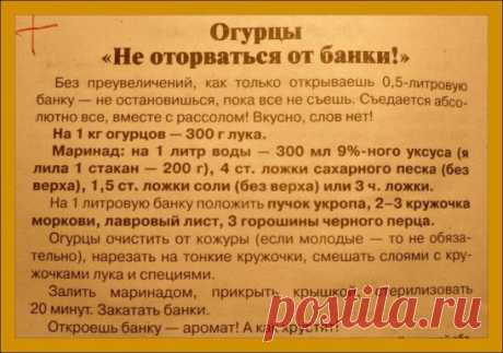 (3) Одноклассники