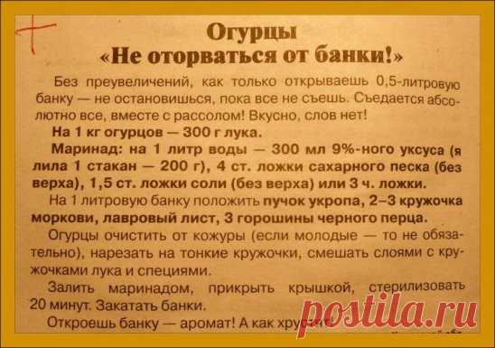 (3) Одноклассники