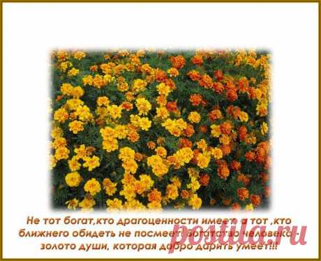 Фразы,Высказывания,Стихи,Цитаты,Видео,Картинки.
ЛЮДМИЛА БУЛЫК