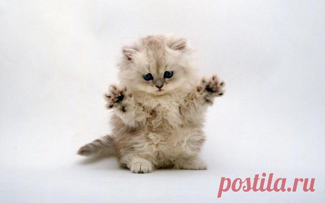 релакс смысл слова: 7 тыс изображений найдено в Яндекс.Картинках