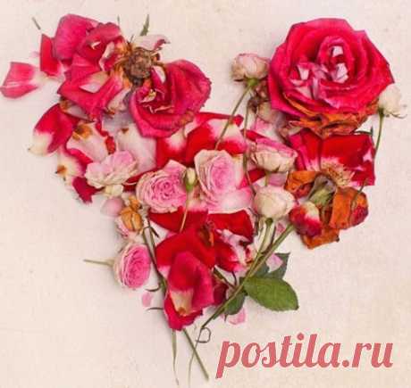 Ana Rosa, lunamiangel: via Imgfave for iPhone