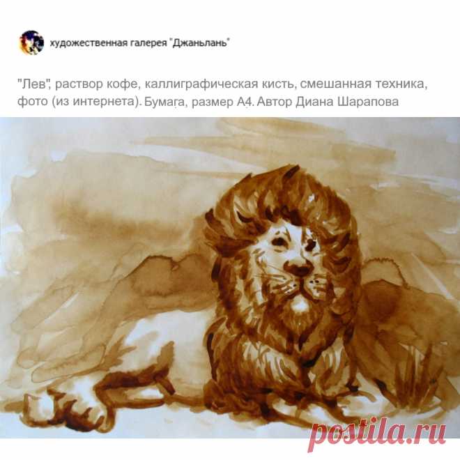 кофейные животные