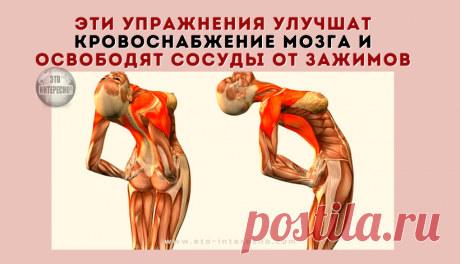 ЭТИ УПРАЖНЕНИЯ УЛУЧШАТ КРОВОСНАБЖЕНИЕ МОЗГА, ВЫПРЯМЯТ ПОЗВОНОЧНИК, ОСВОБОДЯТ СОСУДЫ ОТ ЗАЖИМОВ