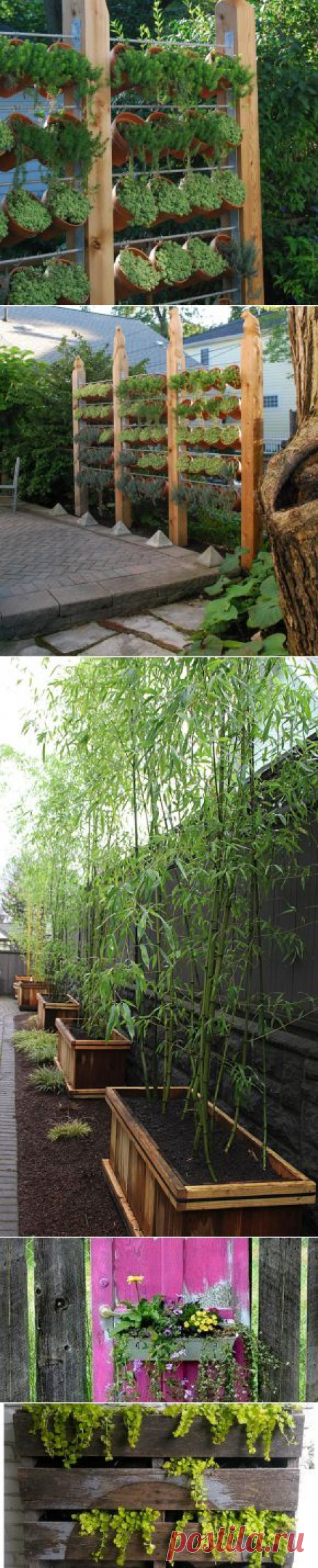 Need Privacy? DIY Garden Privacy Ideas | The Garden Glove