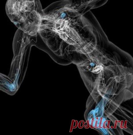 22 факта о человеческом теле, которые вы не сможете забыть