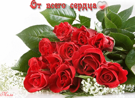 ДУХОВНАЯ СИЛА — Литсайт.ру