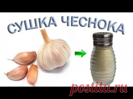 Чеснок полезные свойства – Чеснок на зиму – Сушеный чеснок