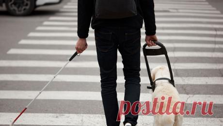 Незрячего теннисиста не пускают на соревнования от общества слепых из-за собаки-поводыря. Инвалида по зрению из Новороссийска не хотят допускать к краевым соревнованиям с собакой-поводырем. Об этом сообщает Telegram-канал &quot;Краснодар Телетайп&quot;. Незрячий спортсмен-любитель активно участвовал в тренировках по шоудану - ...