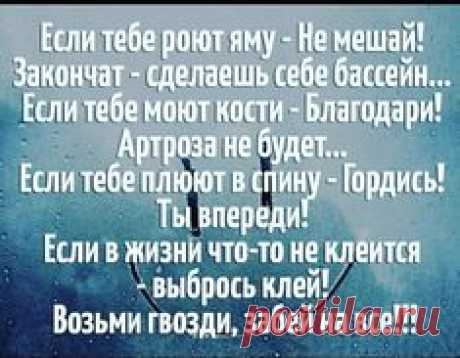 Igor Shusharin (@IgorShusharin) | Твиттер