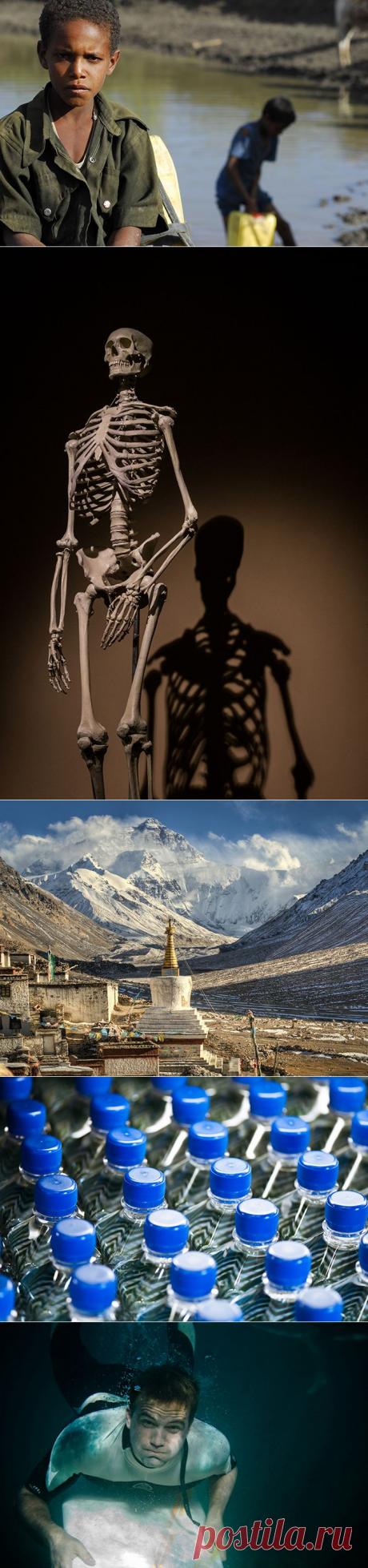 25 малоизвестных фактов о важнейшем веществе на Земле