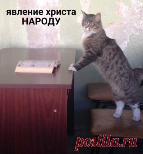 Если бы в школах были такие учителя, прогулов бы ни у кого не было (6 фото) . Тут забавно !!!