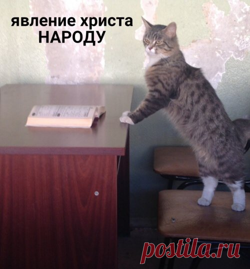 Если бы в школах были такие учителя, прогулов бы ни у кого не было (6 фото) . Тут забавно !!!