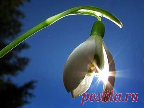 День весеннего равноденствия: ритуалы на любовь, достаток и избавление от проблем