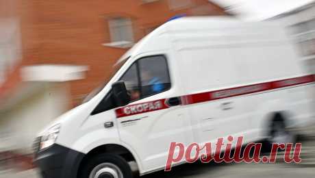 В Братске женщину и ее собаку избили в лифте битами. В Братске двое мужчин в лифте напали на женщину и ее питбуля и жестоко избили битами. Пострадавшую госпитализировали с многочисленными ушибами и травмой головы, сообщает телеканал &quot;360&quot;. Чуть раньше собака женщины укусила ...