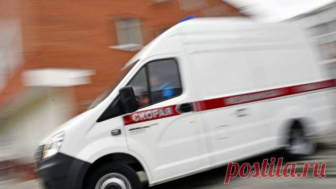 В Братске женщину и ее собаку избили в лифте битами. В Братске двое мужчин в лифте напали на женщину и ее питбуля и жестоко избили битами. Пострадавшую госпитализировали с многочисленными ушибами и травмой головы, сообщает телеканал "360". Чуть раньше собака женщины укусила ...