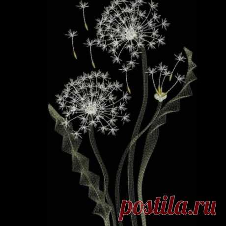 Необычные идеи для контурной вышивки на черном фоне