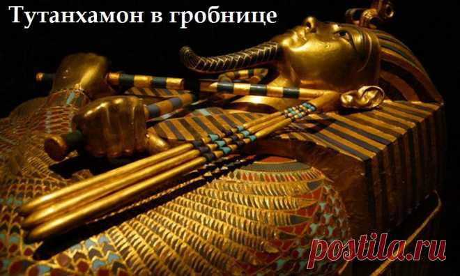 Усеркаф Усер-каф (Усерхерес) 2504/2454-2496/2446
[Усеркара]* Усер-ка-ра 2337/2287-2335/2285
Осохор (Осоркон) 985/984-979/978
Осоркон I Осоркон I (Осортон) 925/924- ок. 890
Осоркон II Осоркон II ок. 875-837
Шешонк IV Осоркон IV ок. 732/730-722
Осоркон III "Псаммус" (?) ок. 722-712
Поэтому и ДНК Тутанхомона совпадает с башкирским
