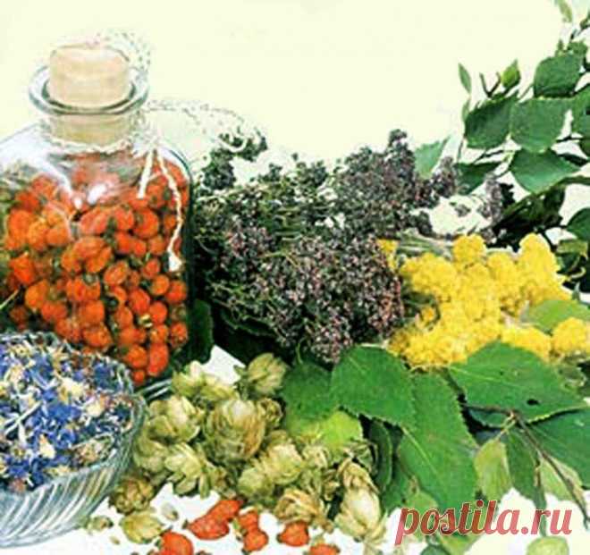 Рецепт для снижения высокого давления | Советы Народной Мудрости