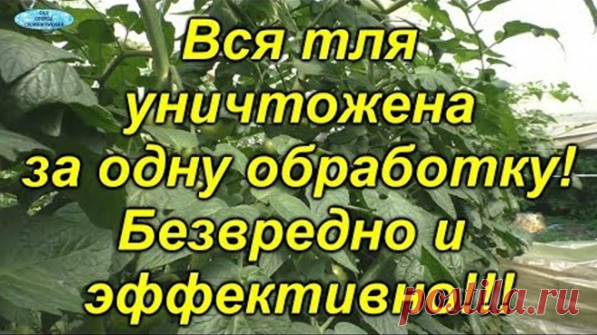 От этой обработки 