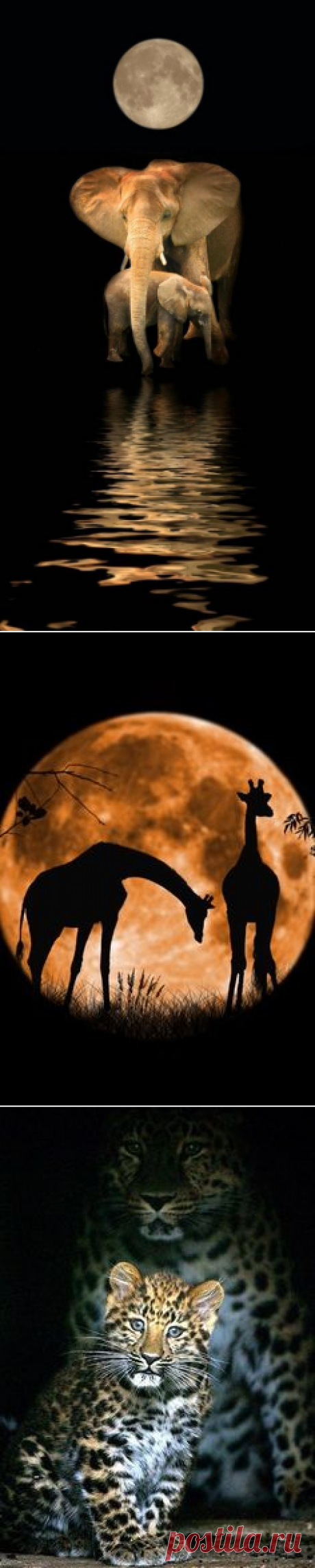 (28) Moonlight moment | Path