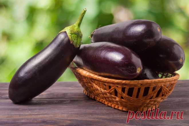 ПРОСТЫЕ И ВКУСНЫЕ БЛЮДА ИЗ БАКЛАЖАНОВ