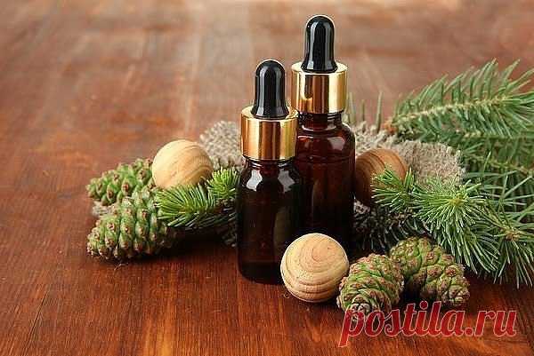 Пихтовое масло и мёд спасли от операции. 

У моего племянника обнаружили межпозвонковую грыжу. Операцию по ряду причин врачи опасались делать, а потому посоветовали следующий рецепт. Область больных позвонков растирать пихтовым маслом. Затем на это место нанести мед с разведенным в нем мумиё: на 100 г меда - 1 г мумиё (его следует предварительно растворить в 1 ч. ложке теплой кипяченой воды). Делать похлопывающими движениями ладони массаж, кожа при этом должна как бы прили...