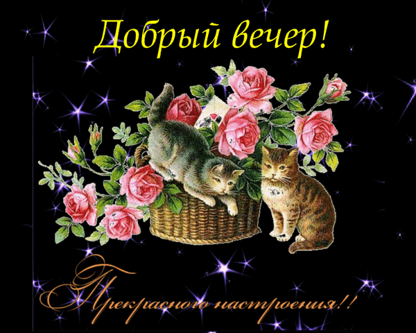 Мой Мир@Mail.Ru