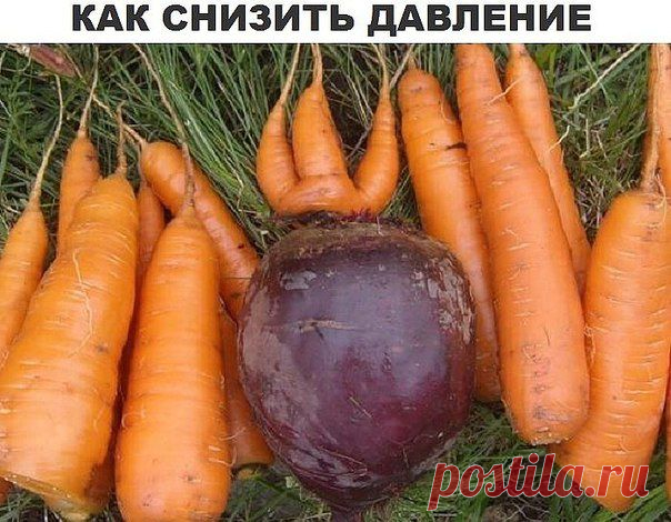 Как снизить давление | Соратники