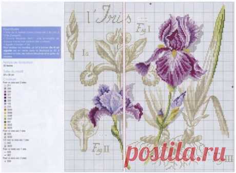 Ирисы из серии &quot;Ботаника&quot; / Вышивка крестом / В рукоделии