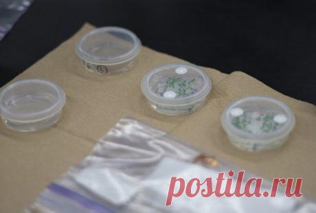 Растения используют «шестое чувство» для роста на МКС / Интересный космос