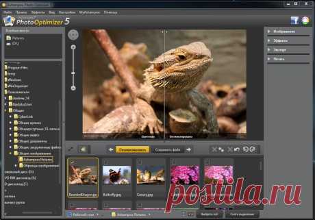 Ashampoo Photo Optimizer - это легкая программа с продуманным интерфейсом, с помощью которой вы легко сможете отрегулировать яркость, контрастность и четкость как на одном фото, так и сразу на целой папке снимков, тем самым повышая их качество.