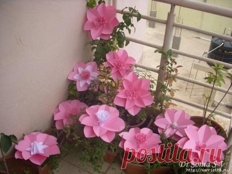 Цветы из бумаги. Мастер-класс