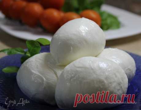 Сыр Моцарелла (Mozzarella). Ингредиенты: молоко, соль, сычужный фермент | Официальный сайт кулинарных рецептов Юлии Высоцкой